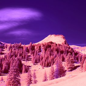 Eine Landschaft in verfremdeten Farben: Ein rosaner Hügel mit rosanen Bäumen vor einem lilanen Himmel.