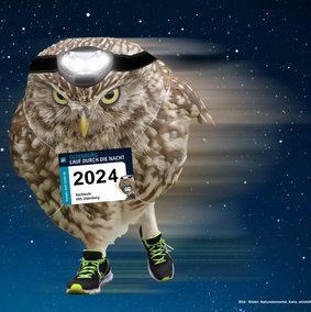 Eine Eule in Sportschuhen mit Stirnlampe und einer Startnummern läuft durch einen Nachthimmel. Bilder: Natureimmortal; Kara; ohishiftl  – alle stock.adobe.com