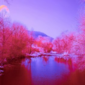 Eine Landschaft in verfremdeten Farben: lilaner Teich vor pinken Büschen un deinem lilanen Himmel..