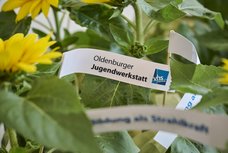 VHS-Oldenburg-Eroeffnung-Haus-der-Jugend_Simon-Kurka_Bild Eiko Braatz Von der Jugendwerkstatt gezogene Sonnenblumen. c