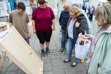 Bienenralley. Bild: KOLJA MATZKE.