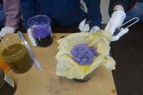 Aus Rotkohl wird lilane Farbe hergestellt. Bild: Stadt Oldenburg