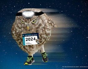 Eine Eule in Sportschuhen mit Stirnlampe und einer Startnummern läuft durch einen Nachthimmel. Bilder: Natureimmortal; Kara; ohishiftl  – alle stock.adobe.com