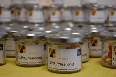 Die Teilnehmer*innen der Jugendwerkstatt LUPO betreuen Bienenvölker, deren Honig sie ernten und abfüllen.