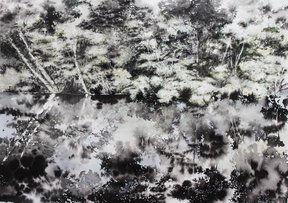 Bild Moorwasser von Petra Timmas