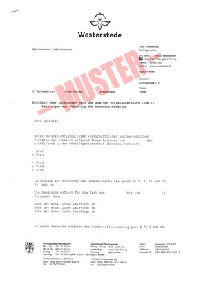 Muster eines Leistungsbescheids