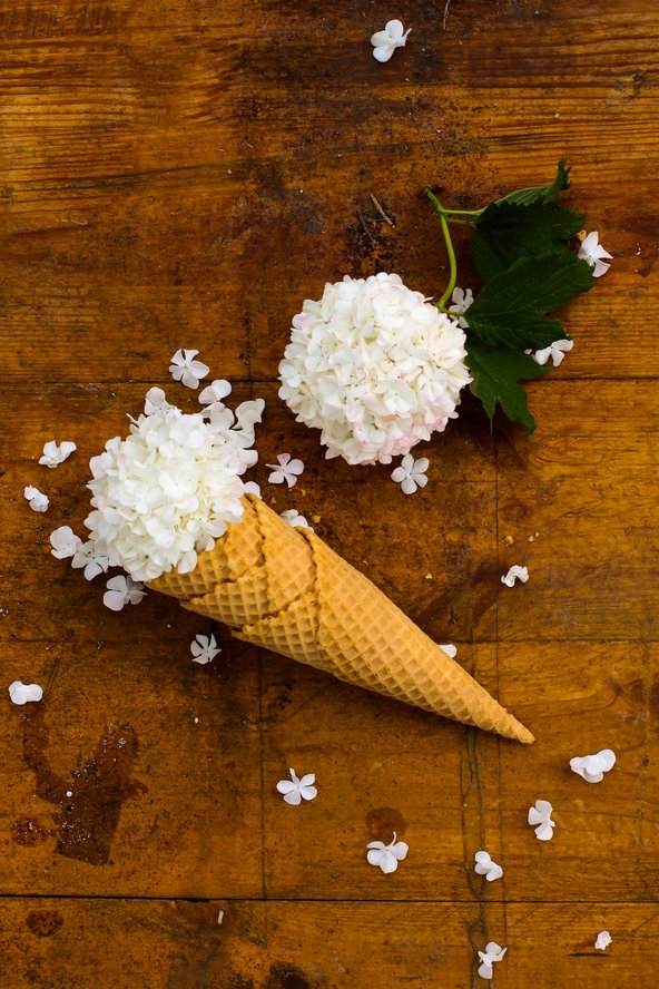 „Schneeballeis“. Erster Platz Wettbewerb „Das Lächeln der Natur“ ▪ Bild: Valerie Tine Lamprecht