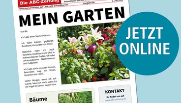 Titel der ABC-Zeitung.