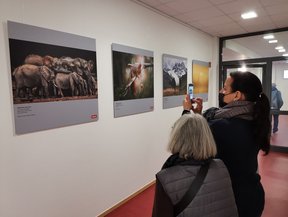 Gäste in der Ausstellung. Bild: VHS Oldenburg