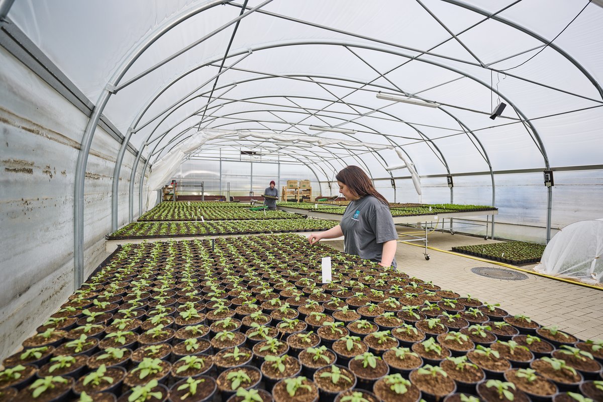 Die Floristik. Bild: VHS Oldenburg.