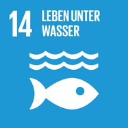 Ziel 14 – Leben unter Wasser. Bild: www.17ziele.de.