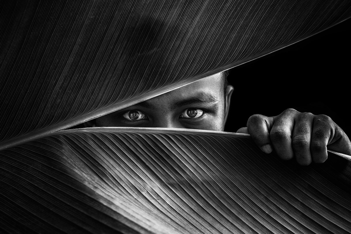 Einer Person blickt durch zwei Palmenblätter.