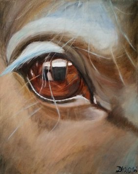 „Blick in die Seele eines Pferdes“: Eine gemalte Nahansicht eines Pferdeauges. Bild: Gabriele Driever-Hamann.