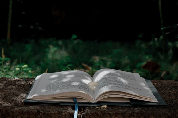 Ein aufgeschlagenes Buch liegt im Wald.