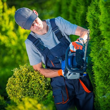 Ein Mann schneidet eine Hecke mit einer elektrischen Heckenschere. Bild: Tomasz Zajda, fotolia.com