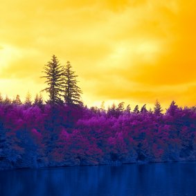Eine Landschaft in verfremdeten Farben: Eein blauer Teich vor lilanen Bäumen und einem gelben Himmel.
