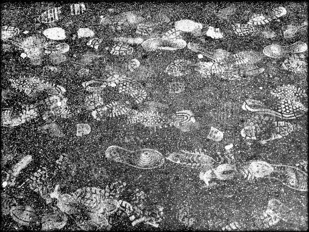 Bild: Thomas Leuckert Schnee-Schuhspuren auf Asphalt.